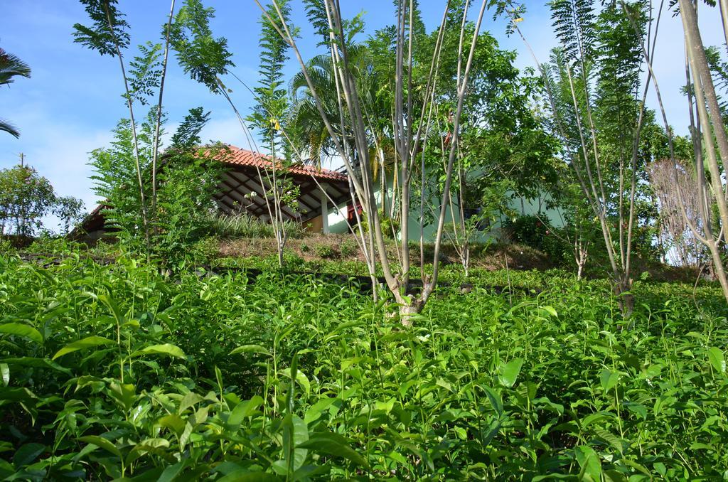 Oriole Villas Bentota Exterior photo